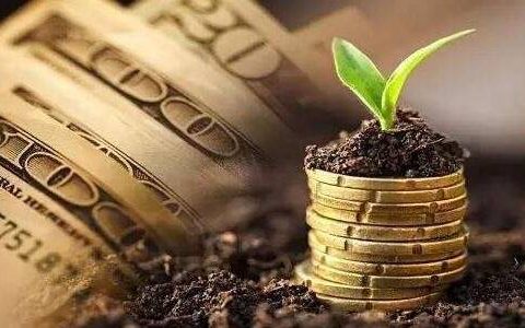 每天分析期货直播