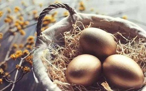 上海期货直播回放视频