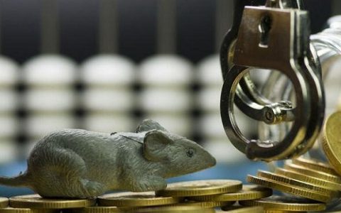 焦作股指期货直播间