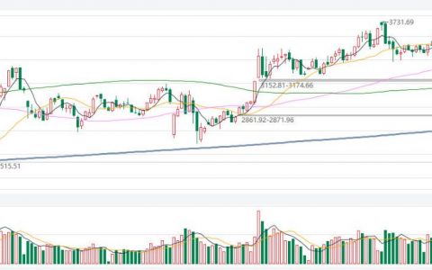 股票期货直播间名字
